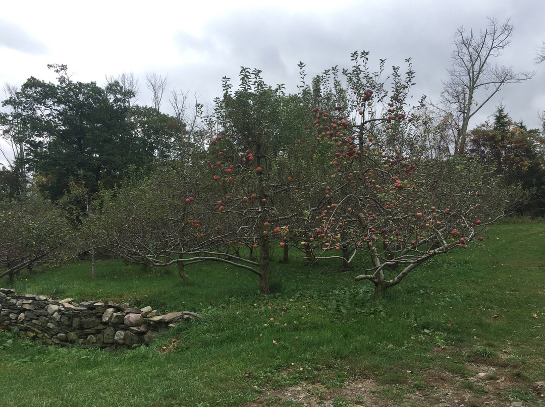 Wightman Fruit Farm-Kerhonkson必去景点
