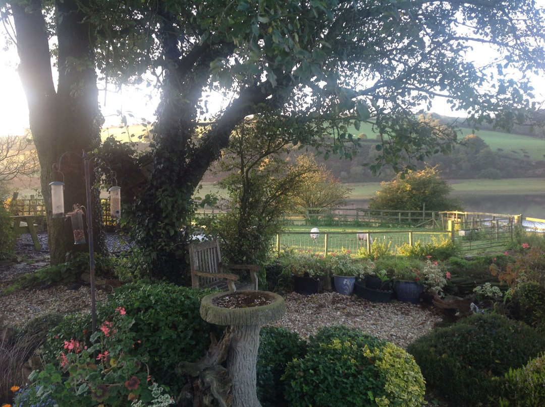 Brompton Regis酒店住宿-Holworthy Farm House