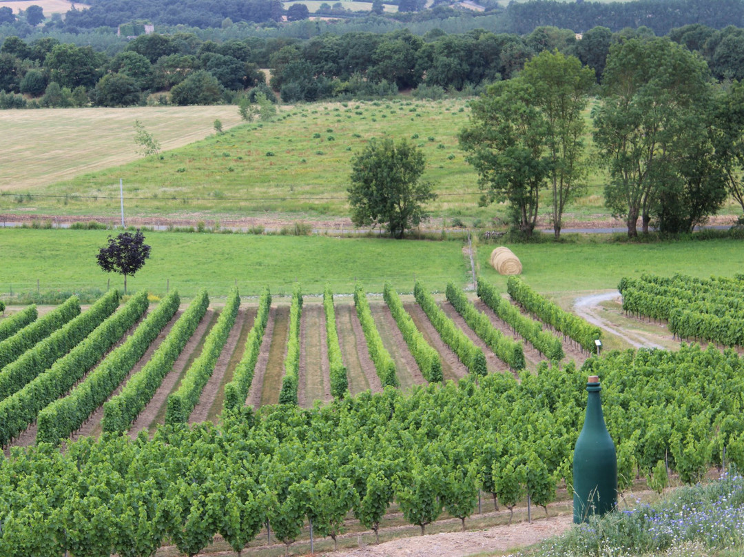 Domaine des Coteaux Blancs景点图片