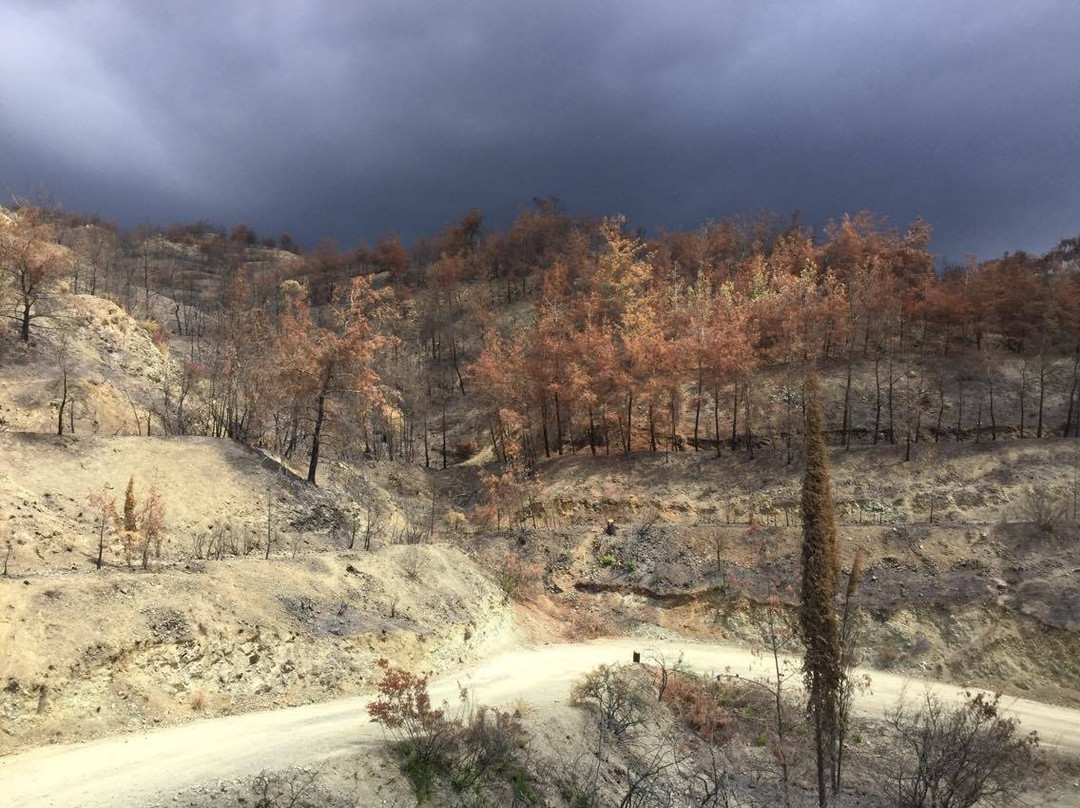 Argaka Dam-Argaka必去景点