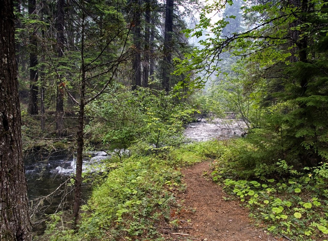 Union Creek Trail-Prospect必去景点