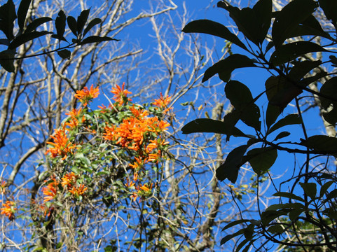 Cascata das tres quedas-Rolante必去景点