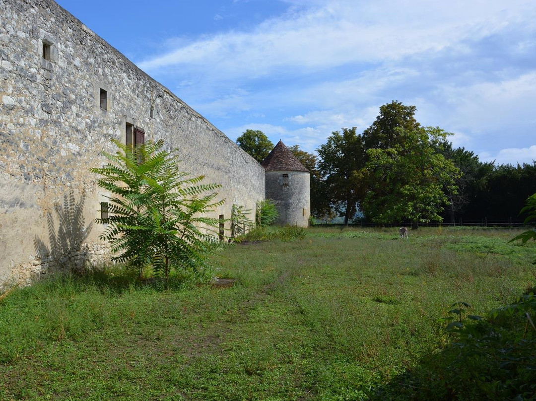 Château de Montaigne景点图片
