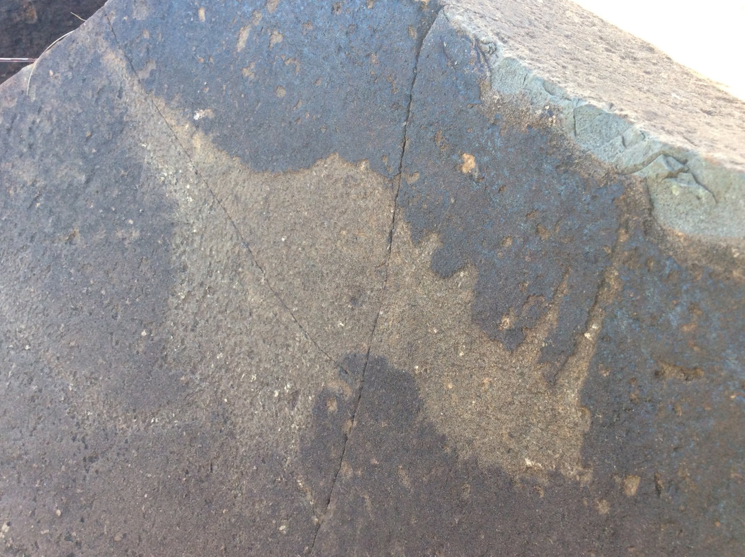 Wildebeest Kuil Rock Art Centre-金伯利必去景点