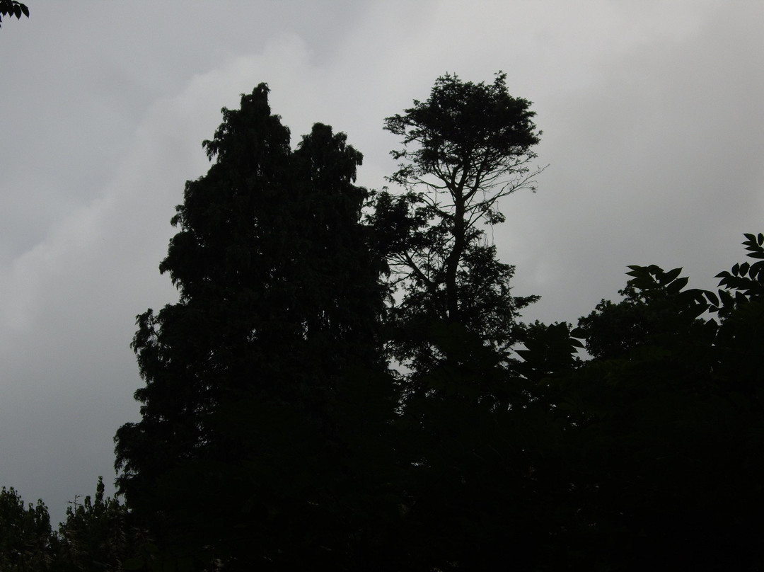 Botanischer Garten-Ibbenbueren必去景点