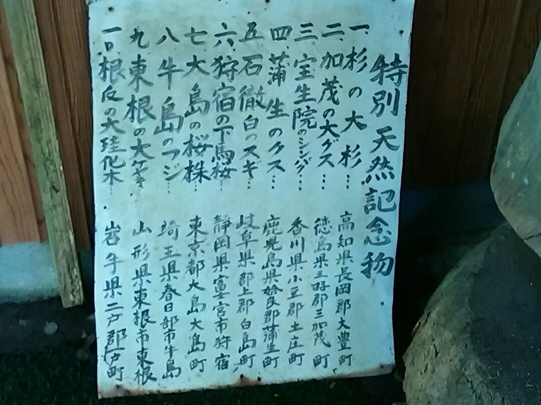 Nihon Ichi Osugi Museum-大豊町必去景点