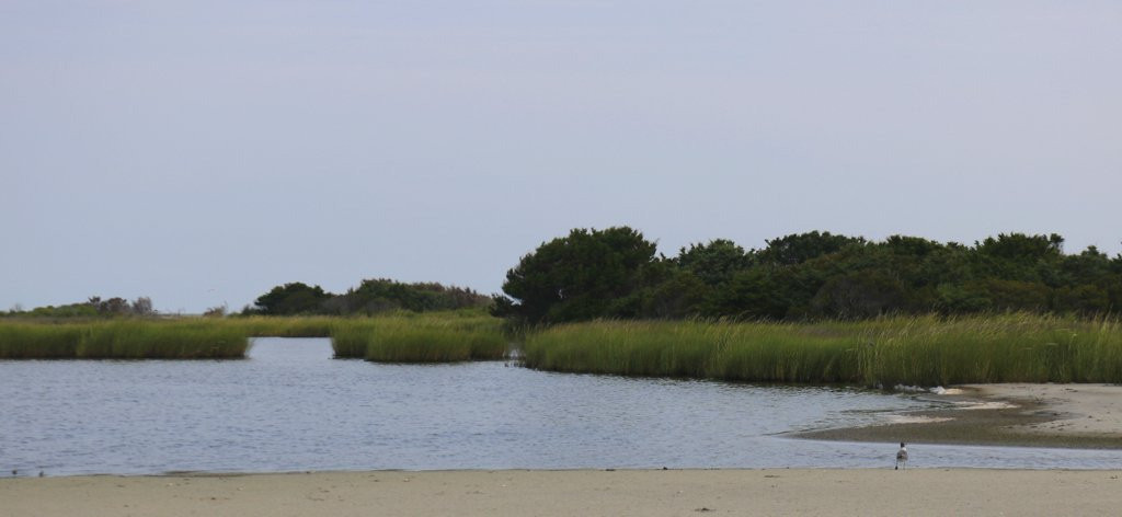Portsmouth Island Boat Tour-Ocracoke必去景点