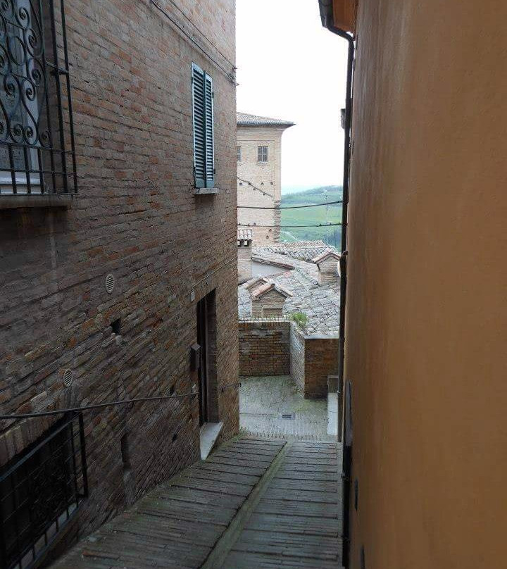 IAT Urbino Center景点图片