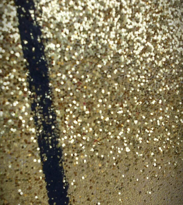 Stark Museum of Art-奥兰治必去景点