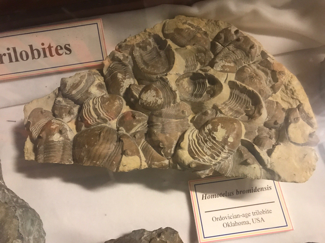 Miller Museum of Geology-金斯顿必去景点