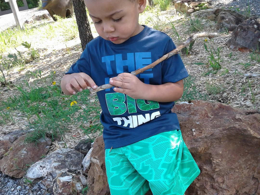 National Audubon Society-乔普林必去景点