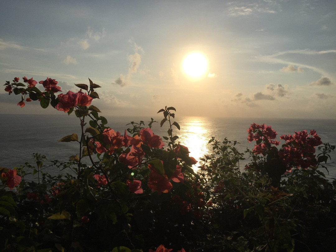 Bali Local Tour Guide-登巴萨必去景点