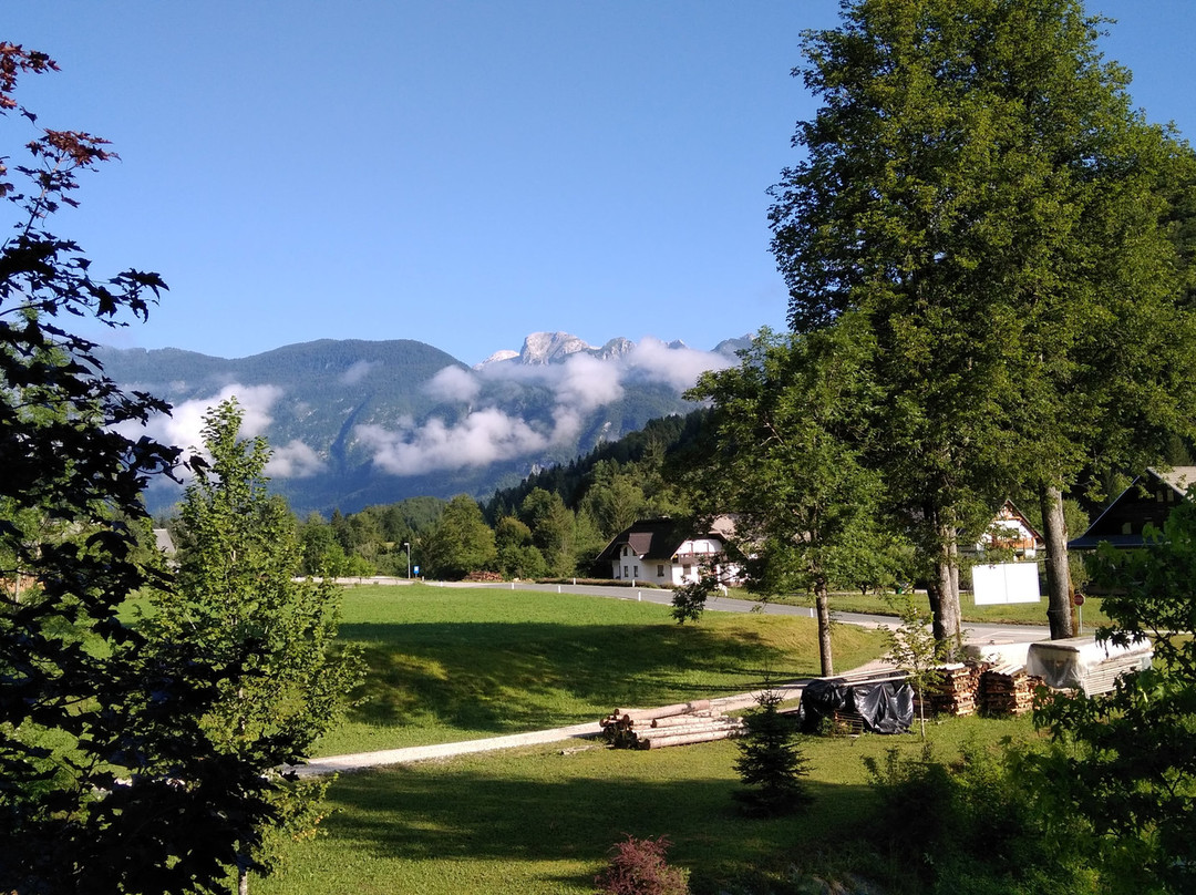 Guest House Prkosnik