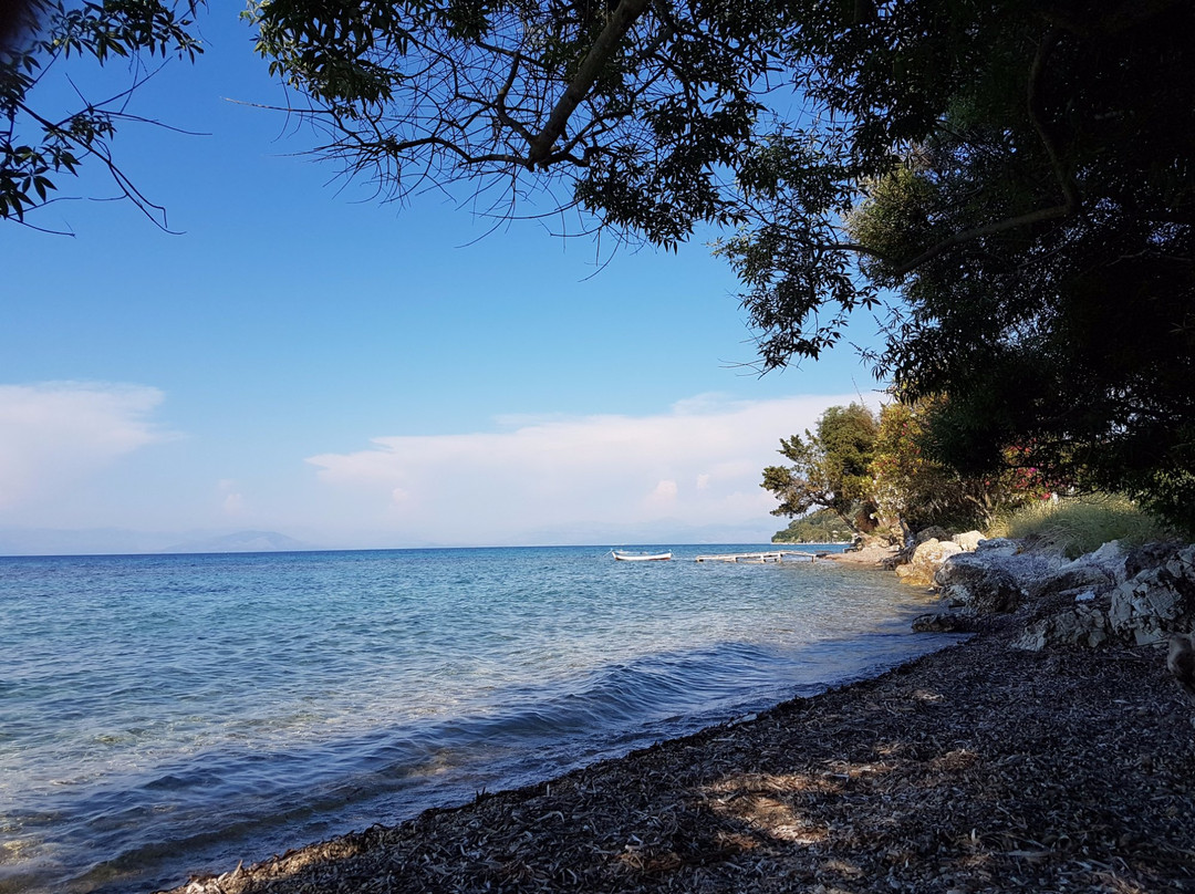 Aliki Studios