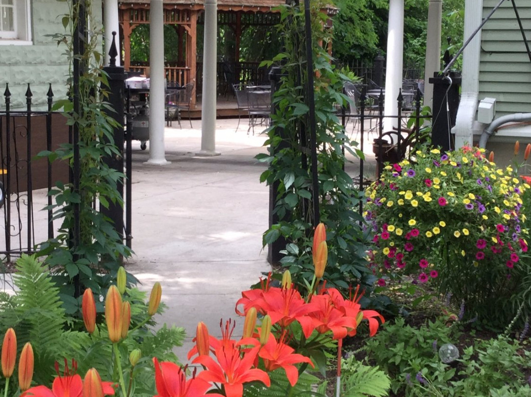 The Ginkgo Tree主图