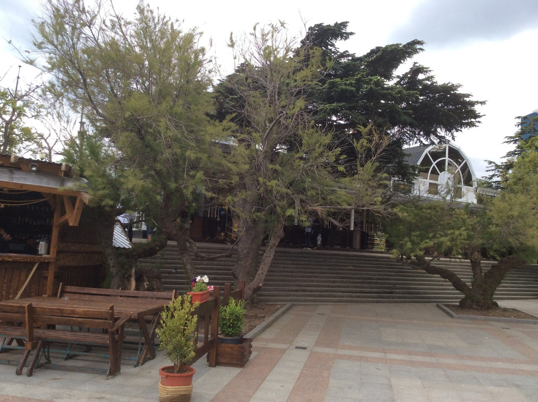 Museum Culture of Yalta-雅尔达必去景点