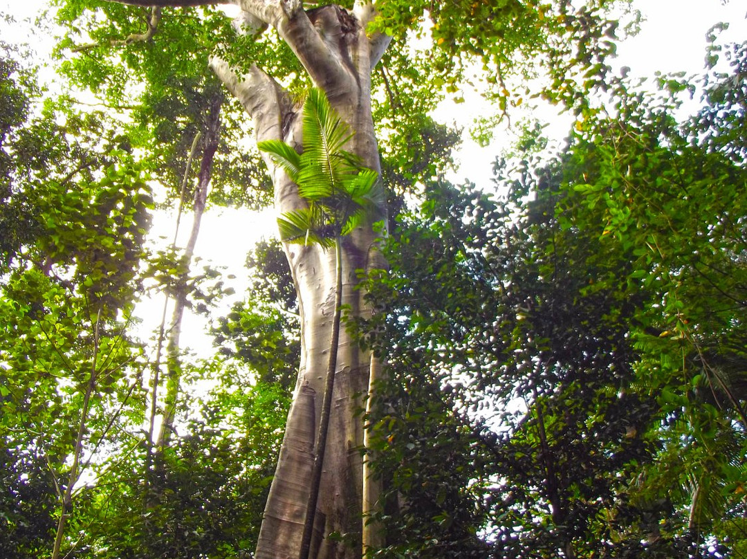 Broadwater National Park-Ingham必去景点