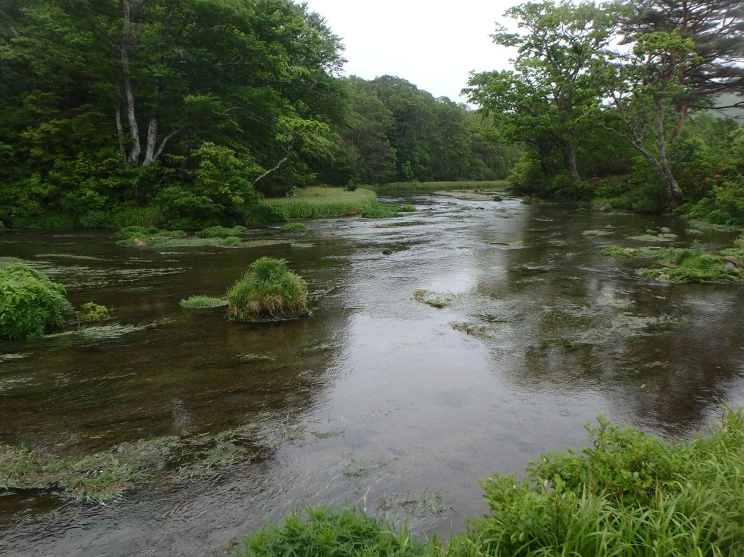 Gudari Swamp-青森市必去景点