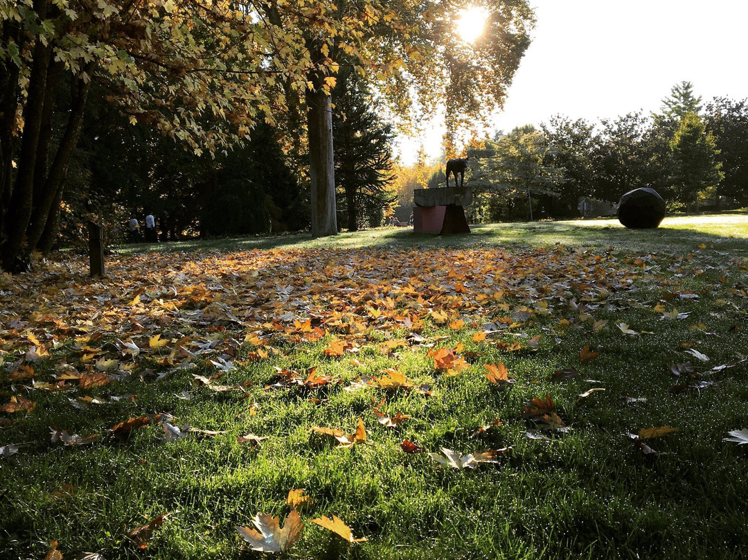 Parc Jean Rameau-Mont-de-Marsan必去景点