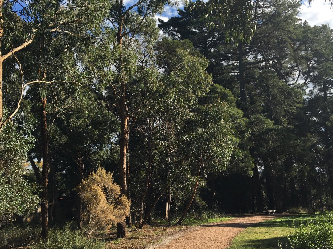 RE Gray Reserve-鲁纳沃丁必去景点