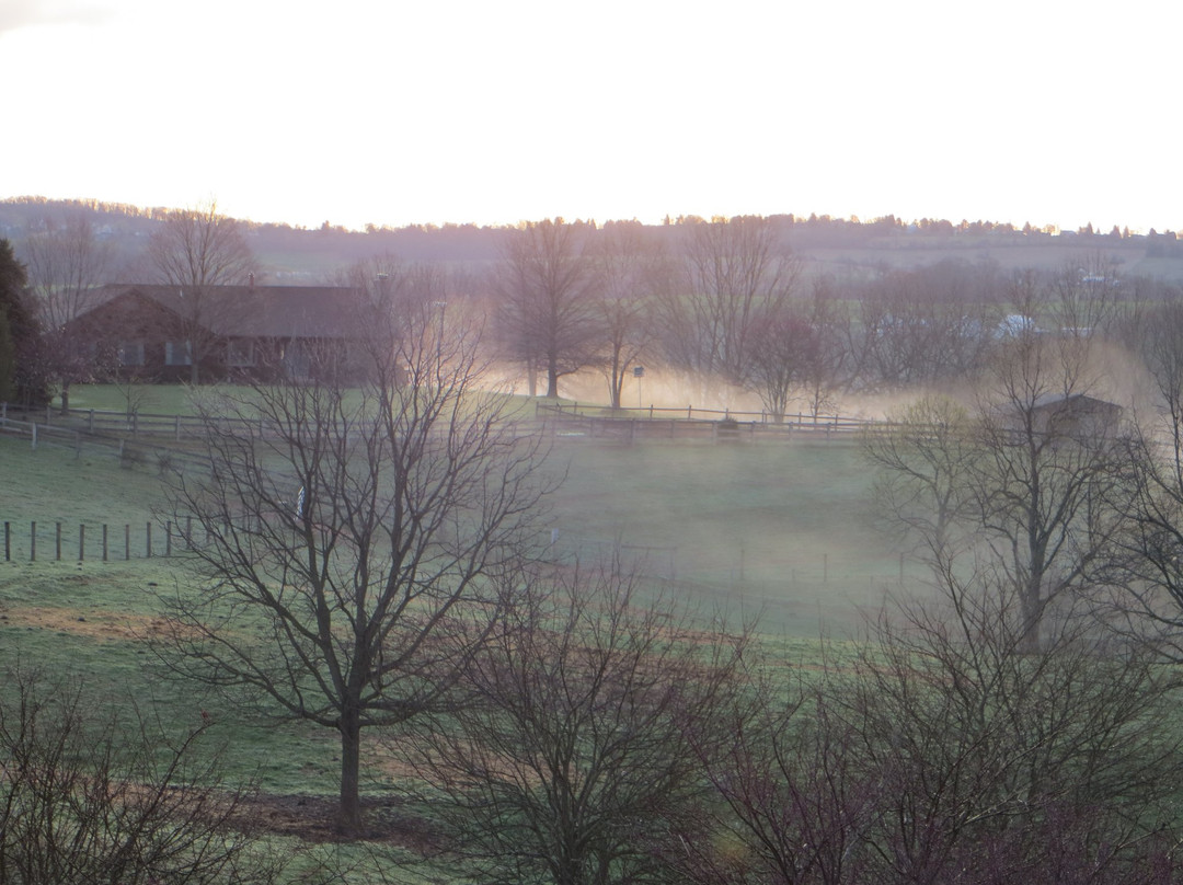 Willow Oaks-Middletown必去景点