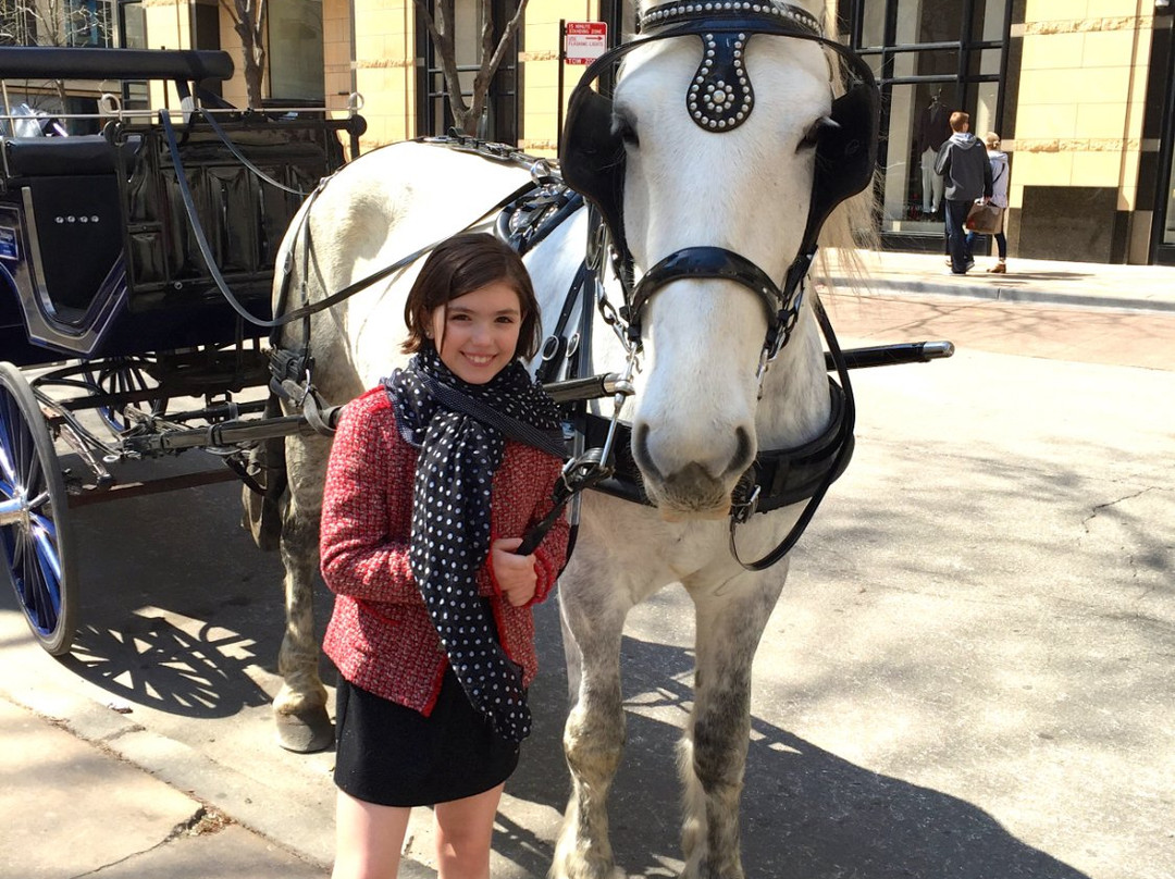 Chicago Horse and Carriage-芝加哥必去景点