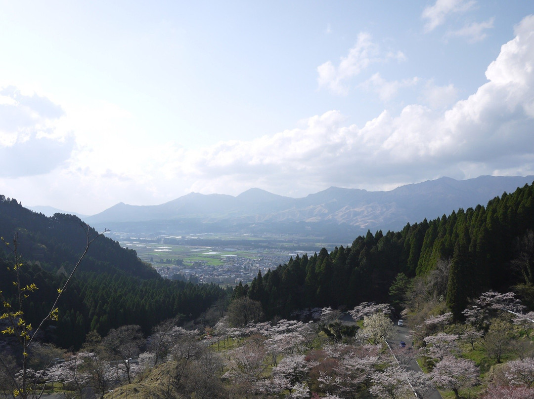 Takamoritoge no Senbonsakura景点图片