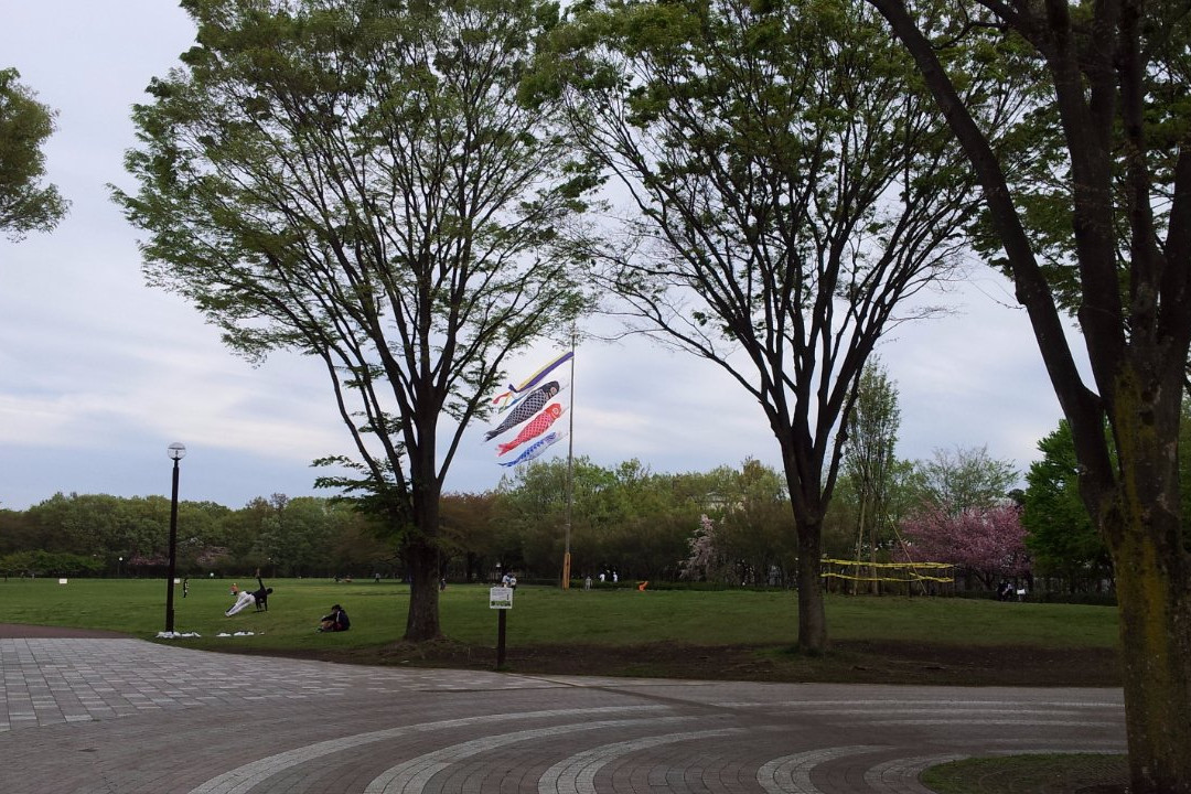 Higashimurayama Central Park-东村山市必去景点