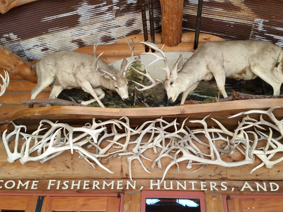 Bass Pro Shops-曼特卡必去景点