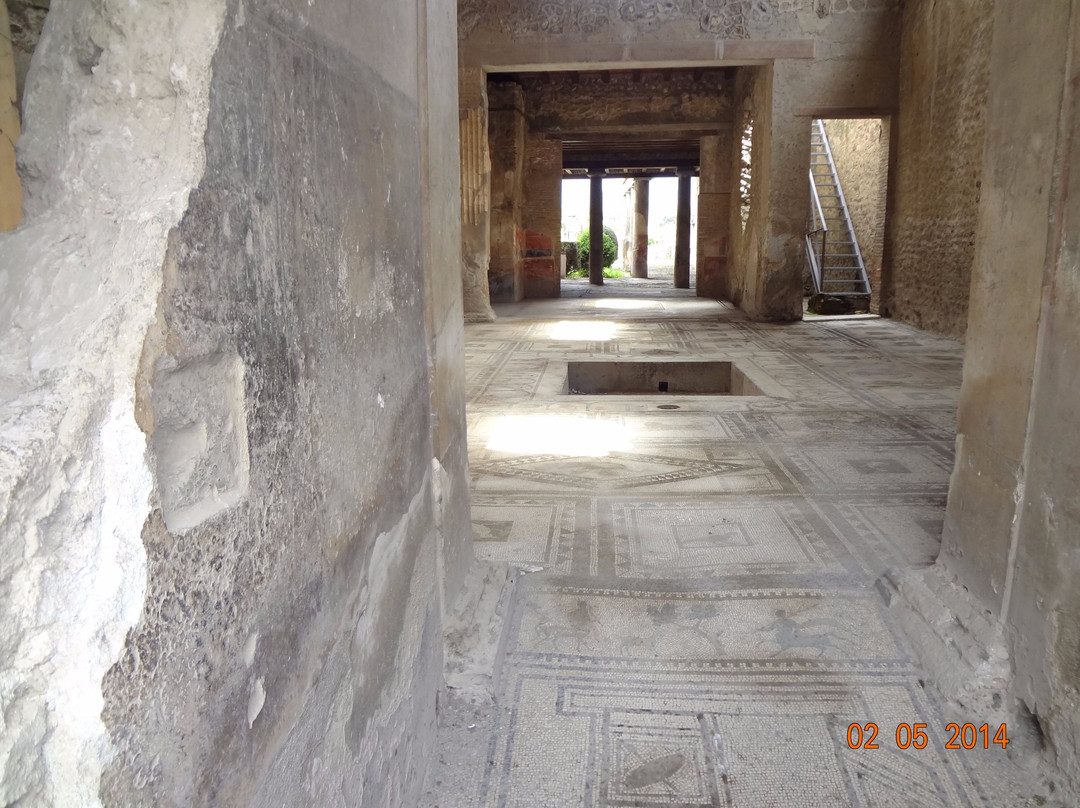 House of Paquius Proculus-庞贝必去景点