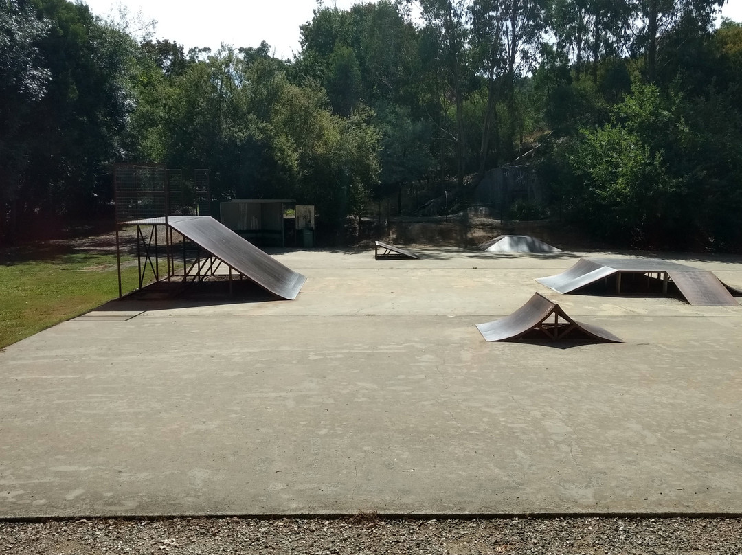 Sir Isaac Isaacs Palm Tree-Yackandandah必去景点