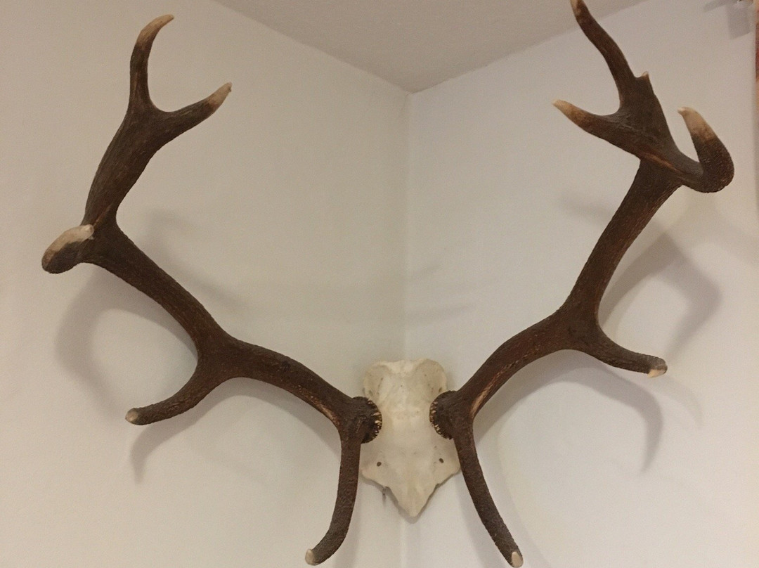 Gasthof Hirsch主图