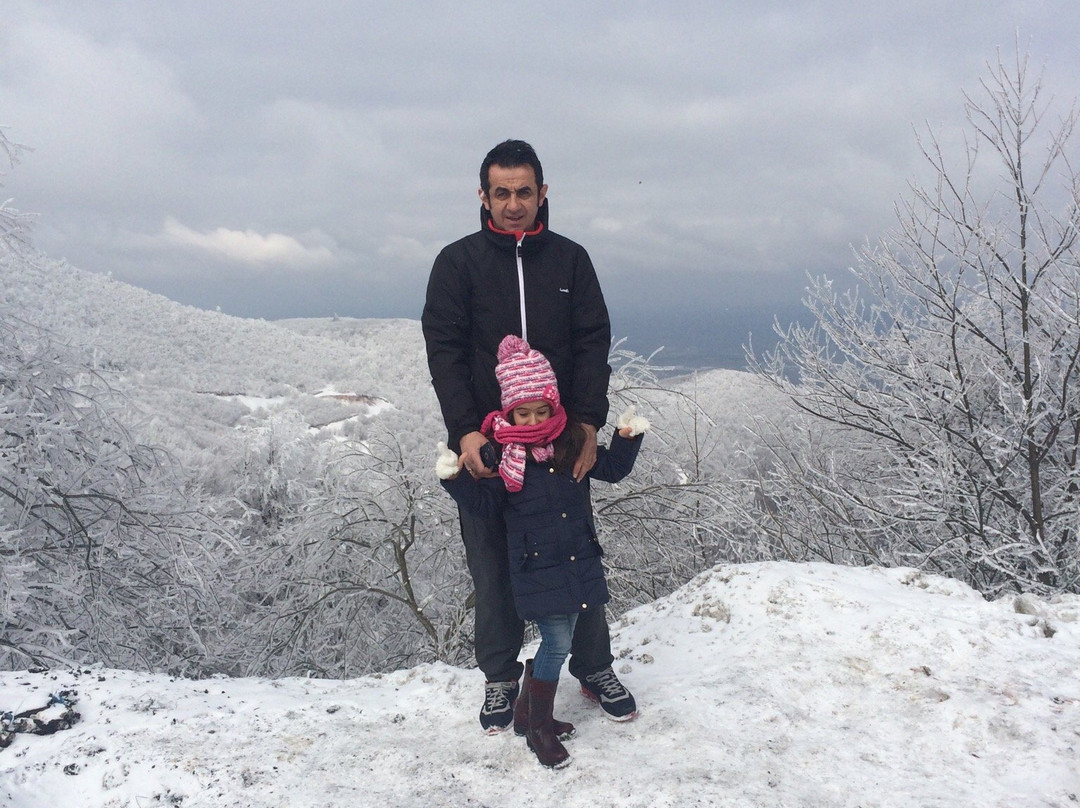 El Garden Hotel & Residence主图