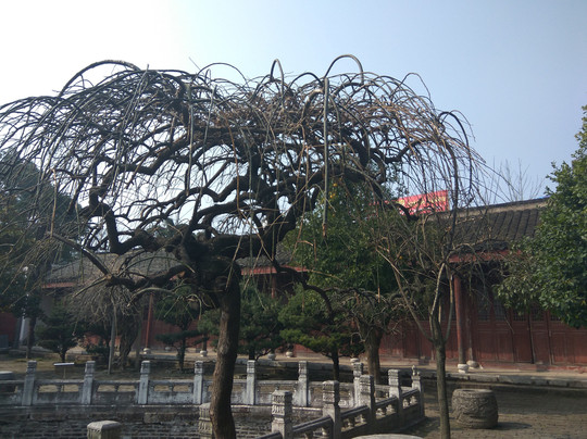 桐城古城区-桐城市必去景点