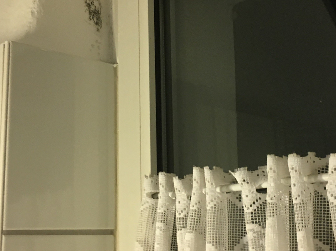 Hotel Zur Börse主图