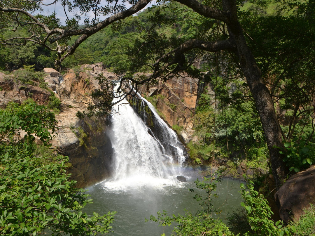 Kalthota Doowili Ella Falls景点图片