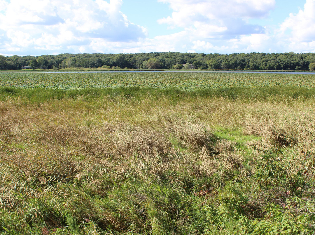 Cherokee Marsh- North Unit-麦迪逊必去景点