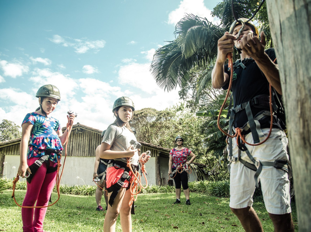 Tartarugas-Santo Amaro da Imperatriz必去景点
