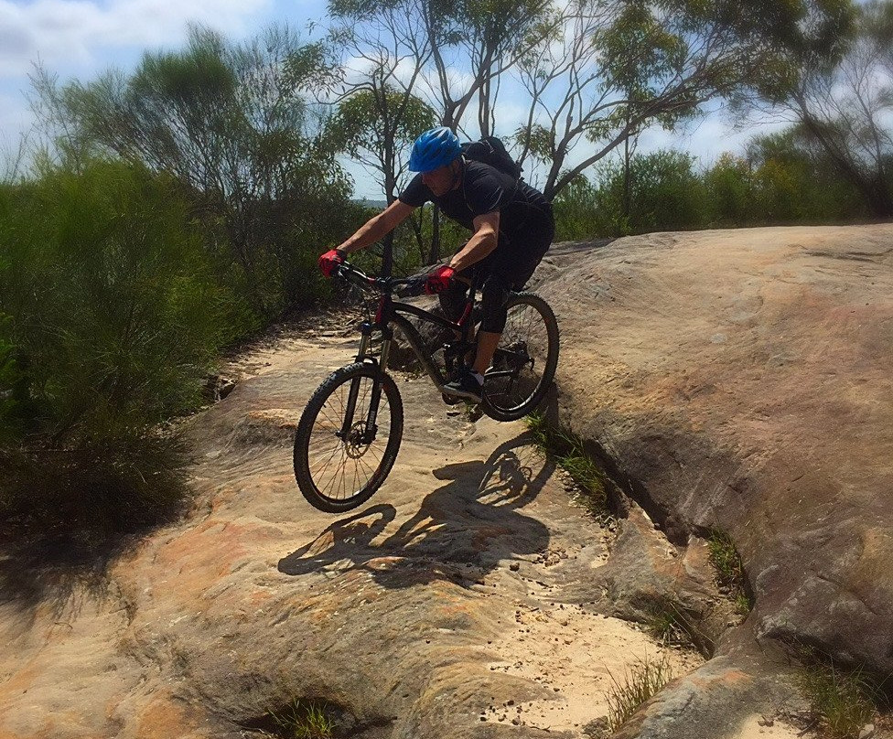 Joes Mountain Bike Tours景点图片