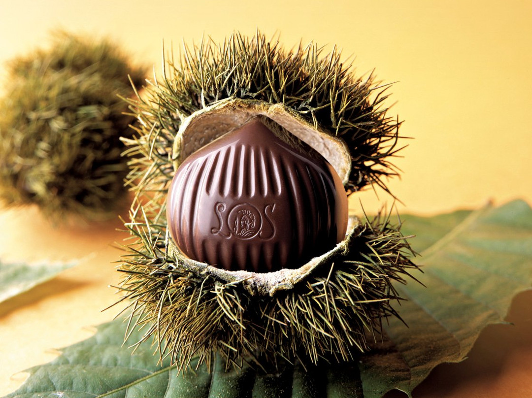 Leonidas Chocolate Cafe