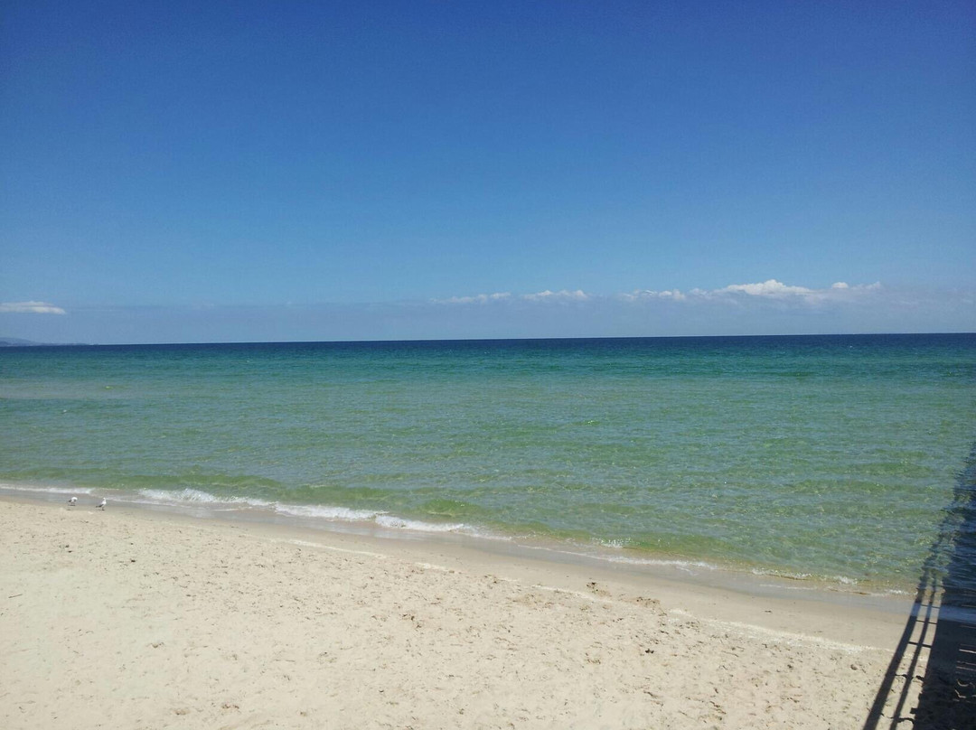 拉什沃思旅游攻略图片