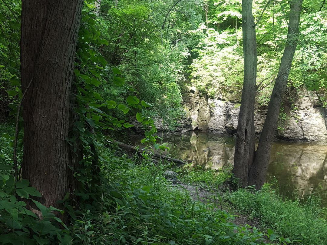 Perry Farm Park景点图片