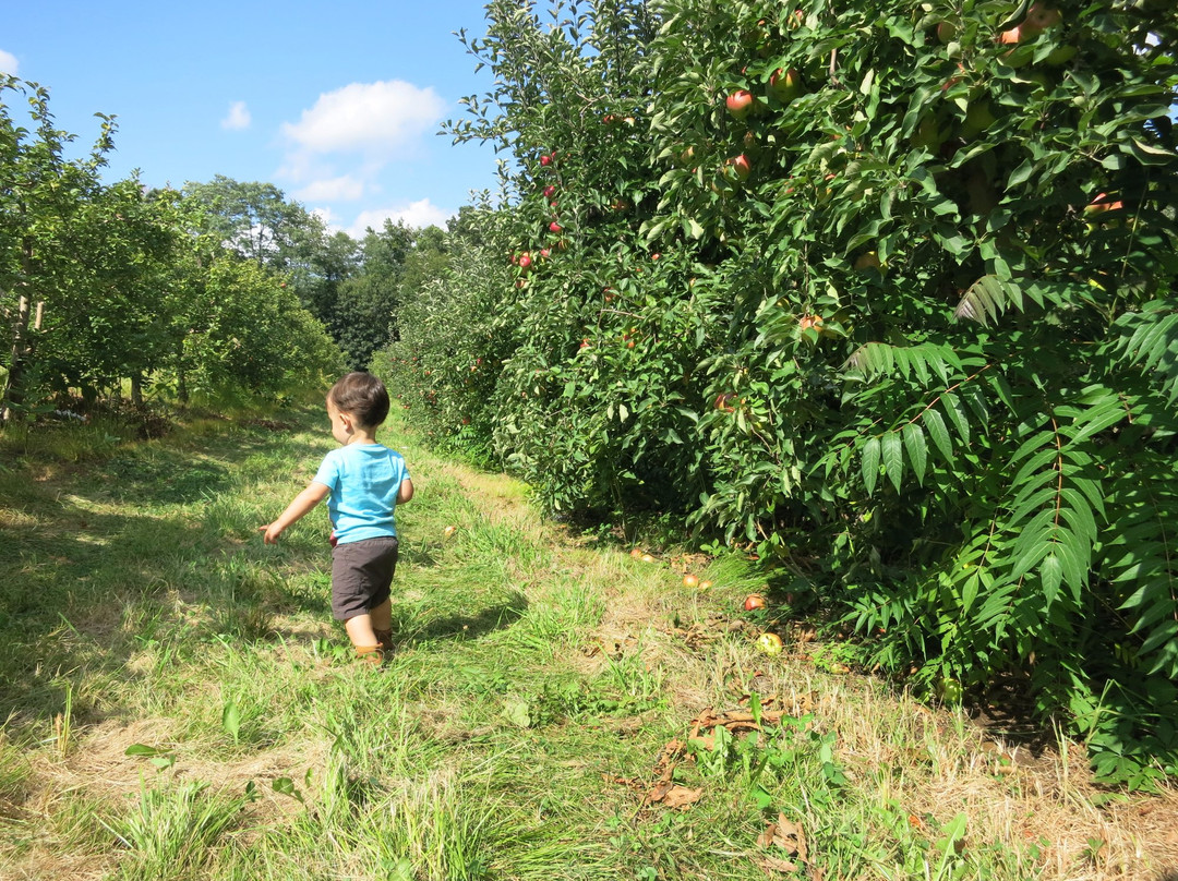 Gotta's Farm and Cider Mill-Portland必去景点
