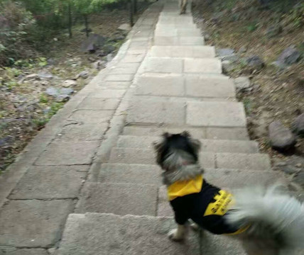 蟒山森林公园-北京市必去景点