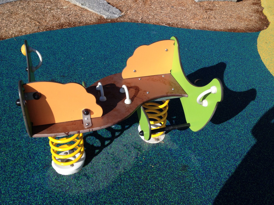 Ford Park Playground景点图片