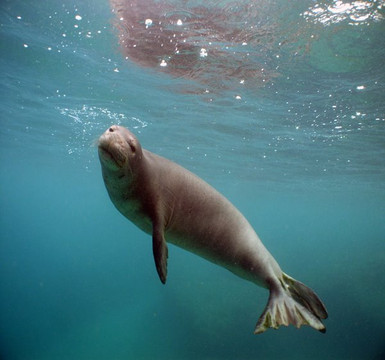 Z Tourz-可洛亚必去景点