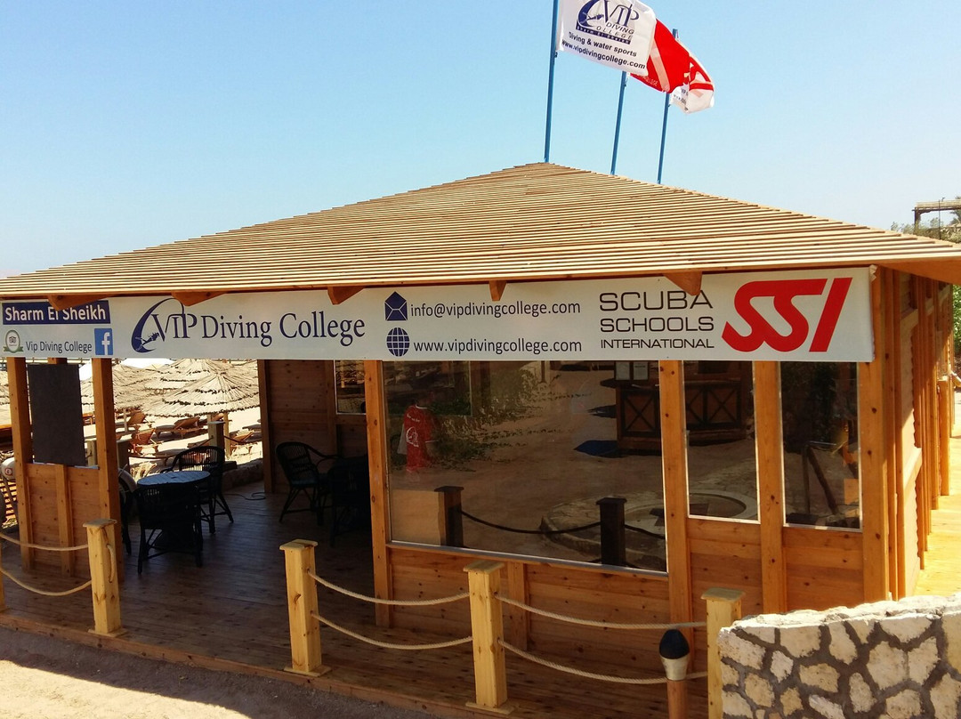 VIP Diving College-沙姆沙伊赫必去景点