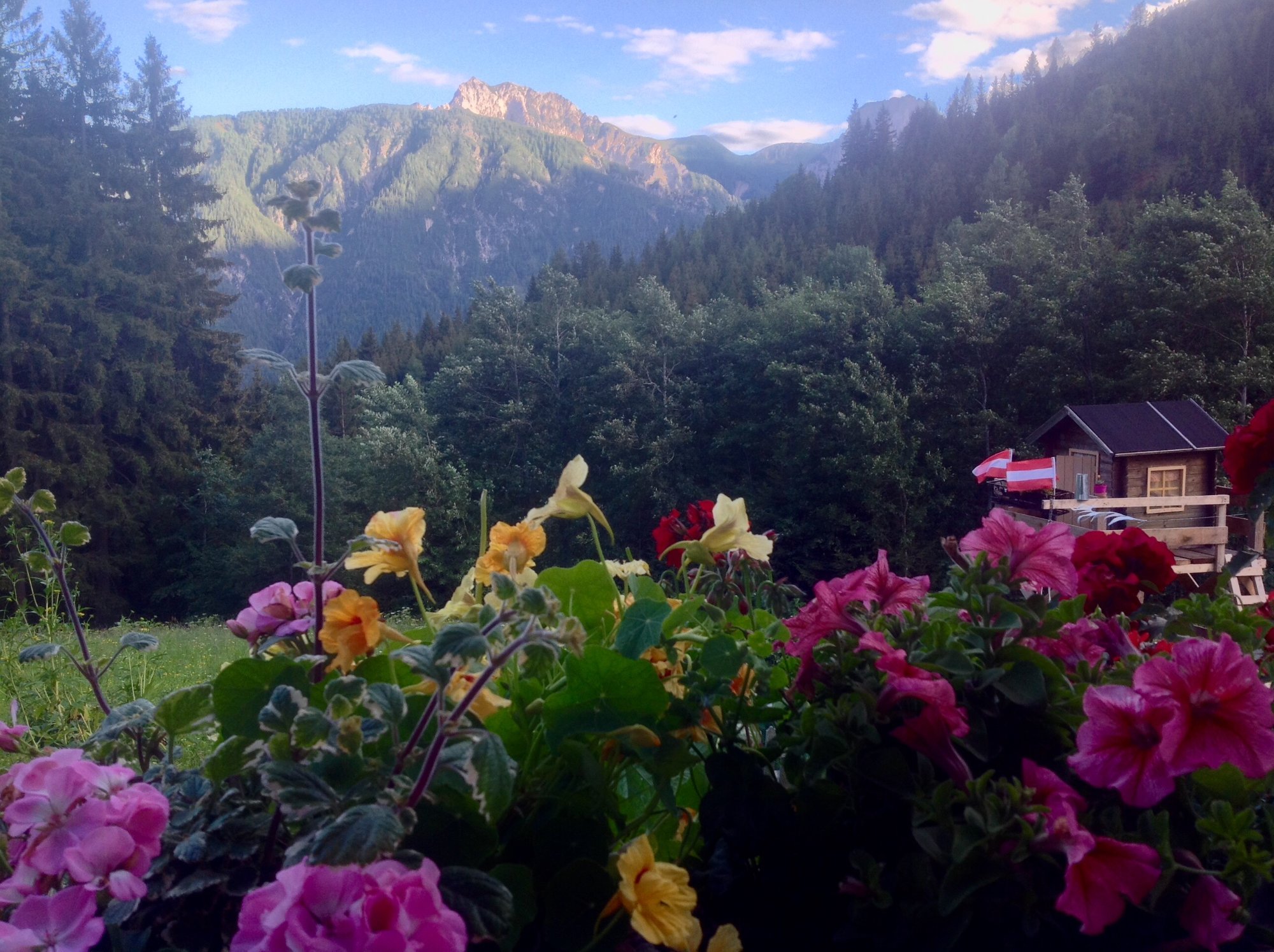 Haus Pinter-酒店景观