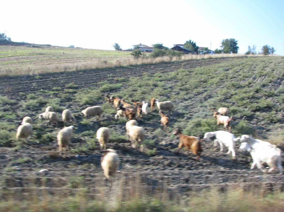 Kornilios Hotel主图