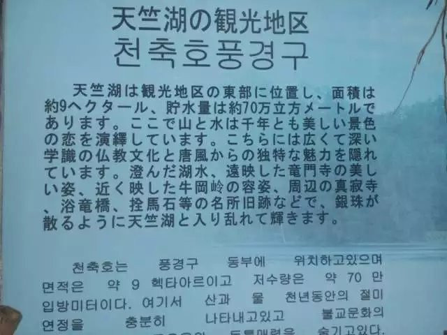天竺山国家森林公园-厦门市必去景点